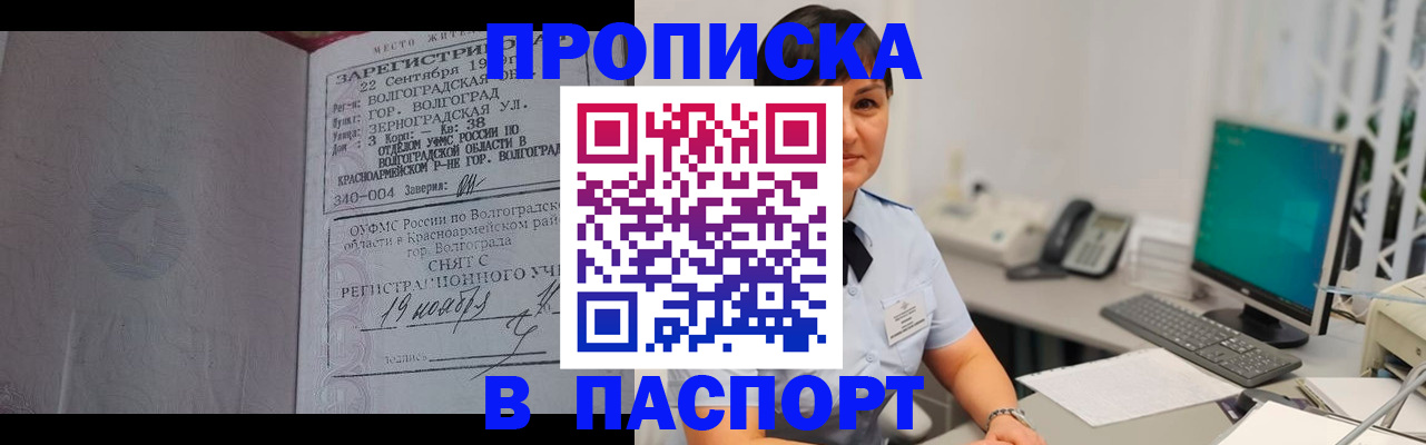 найти адрес прописки в Торопеце